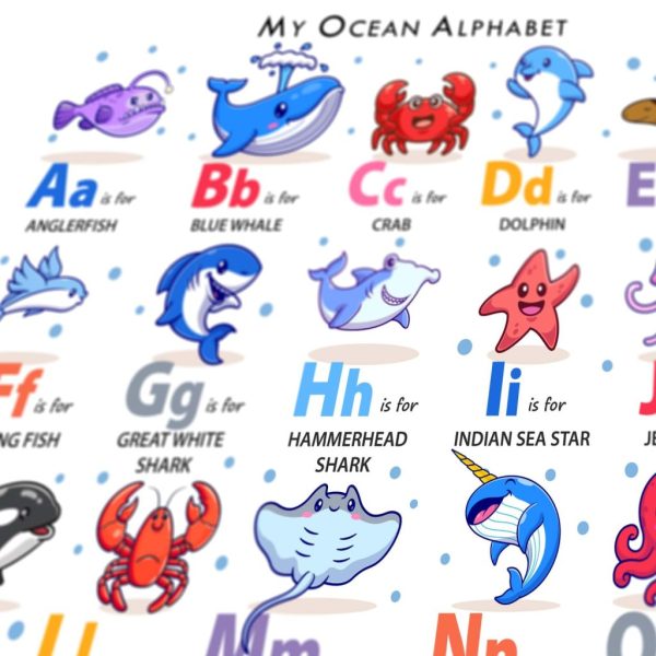 Sea Animals Alphabet Poster